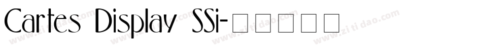 Cartes Display SSi字体转换